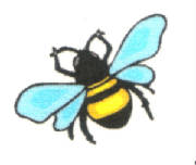 bee.jpg