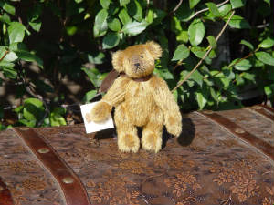 ted.jpg
